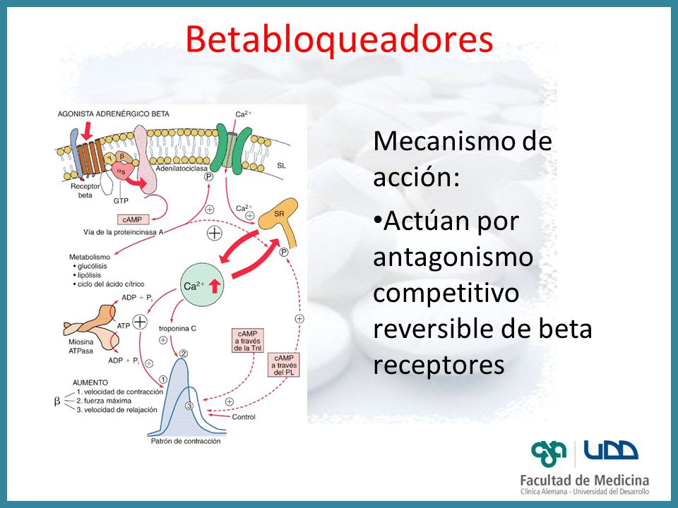Mecanismo de acción de hipertensión de tacrolimus